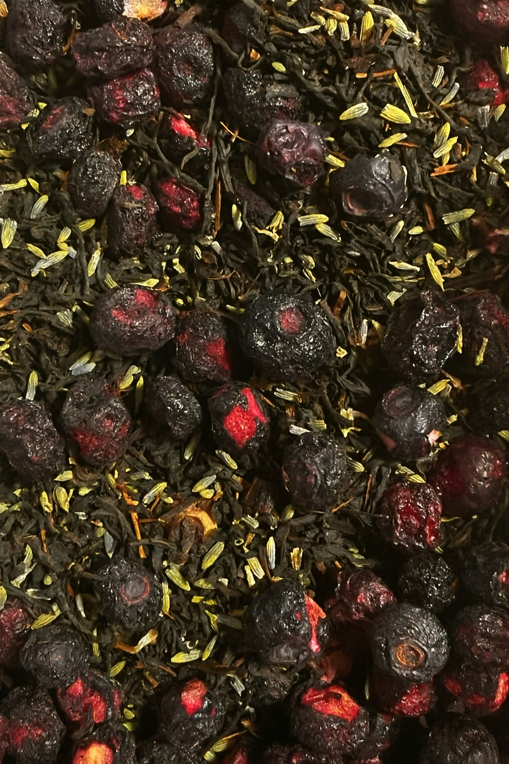 Acadian Fog - Image 2