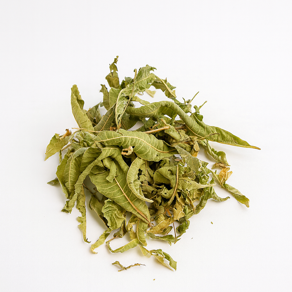 Lemon-Verbena.webp