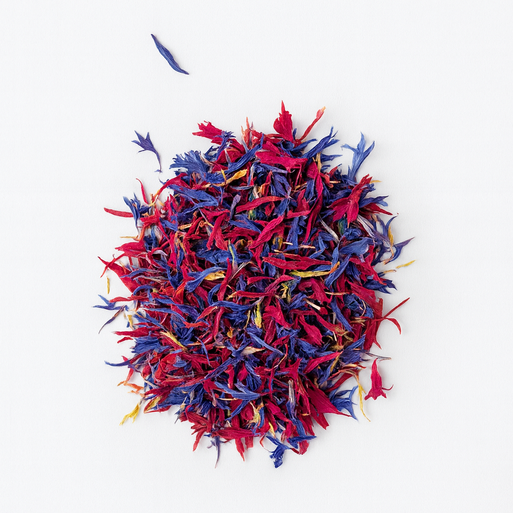 Red-and-Blue-Cornflower.webp